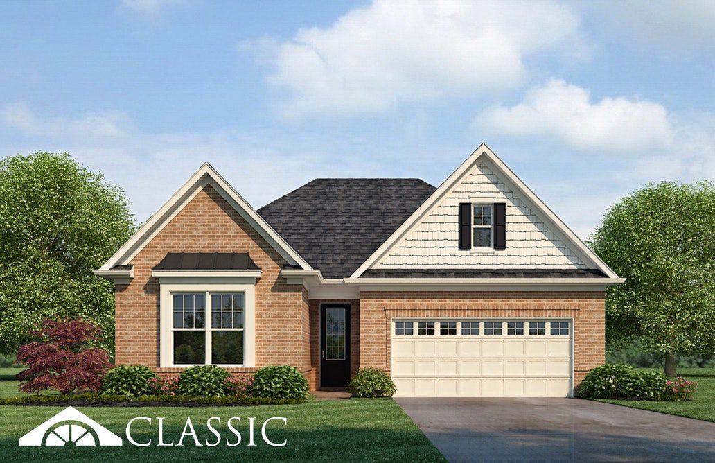 Cedar - Elevations 1