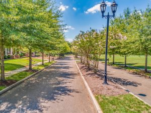 Saddlebrook Properties