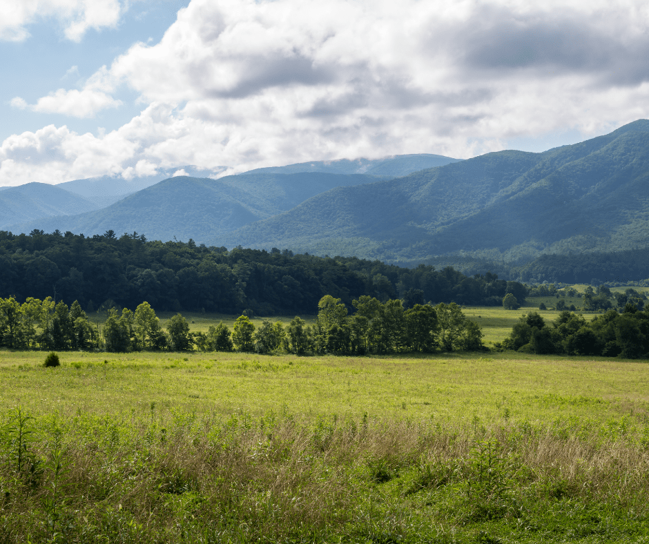 Mild Weather & Distinct Seasons