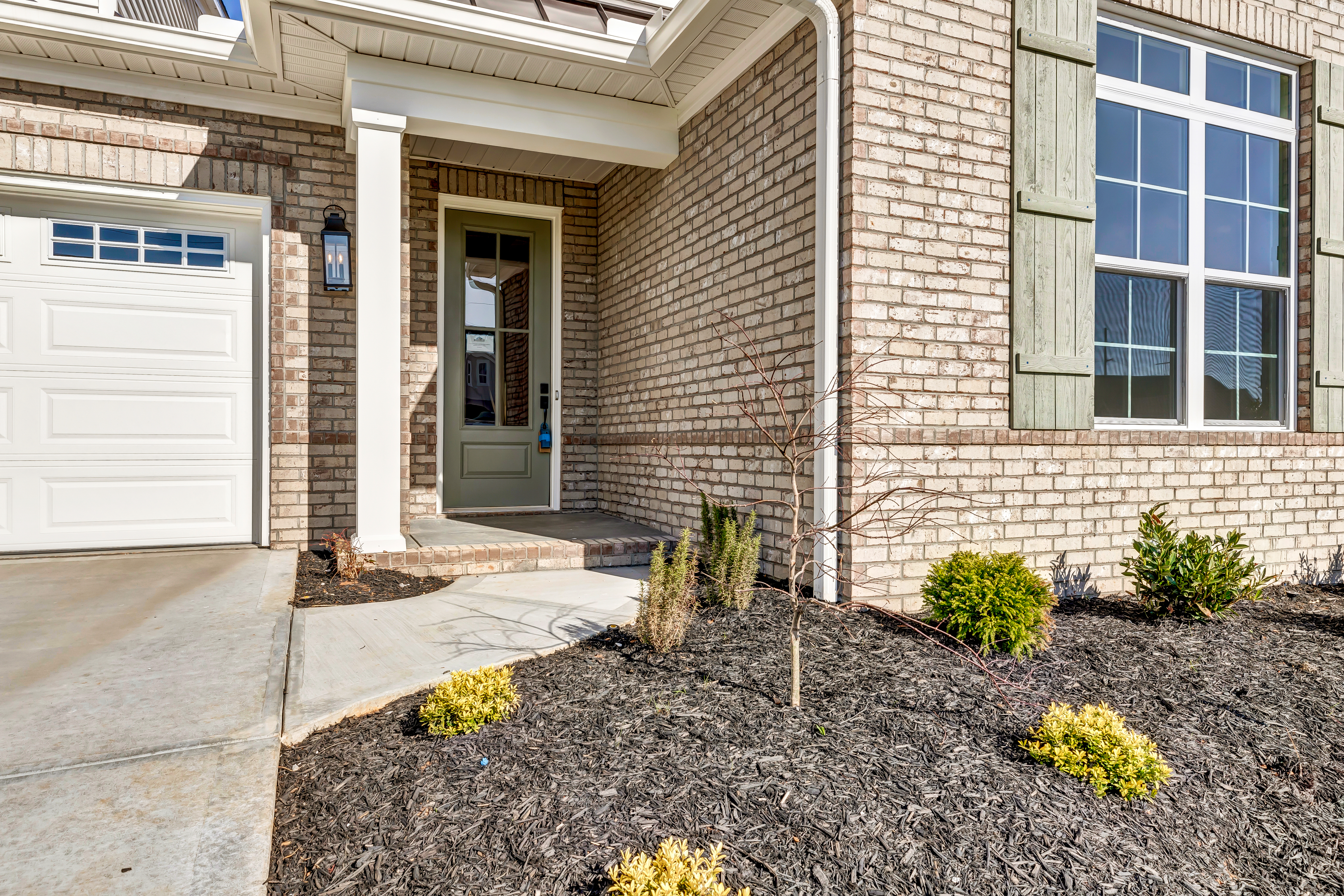 MDWS 65 – Jackson T- Photo 4