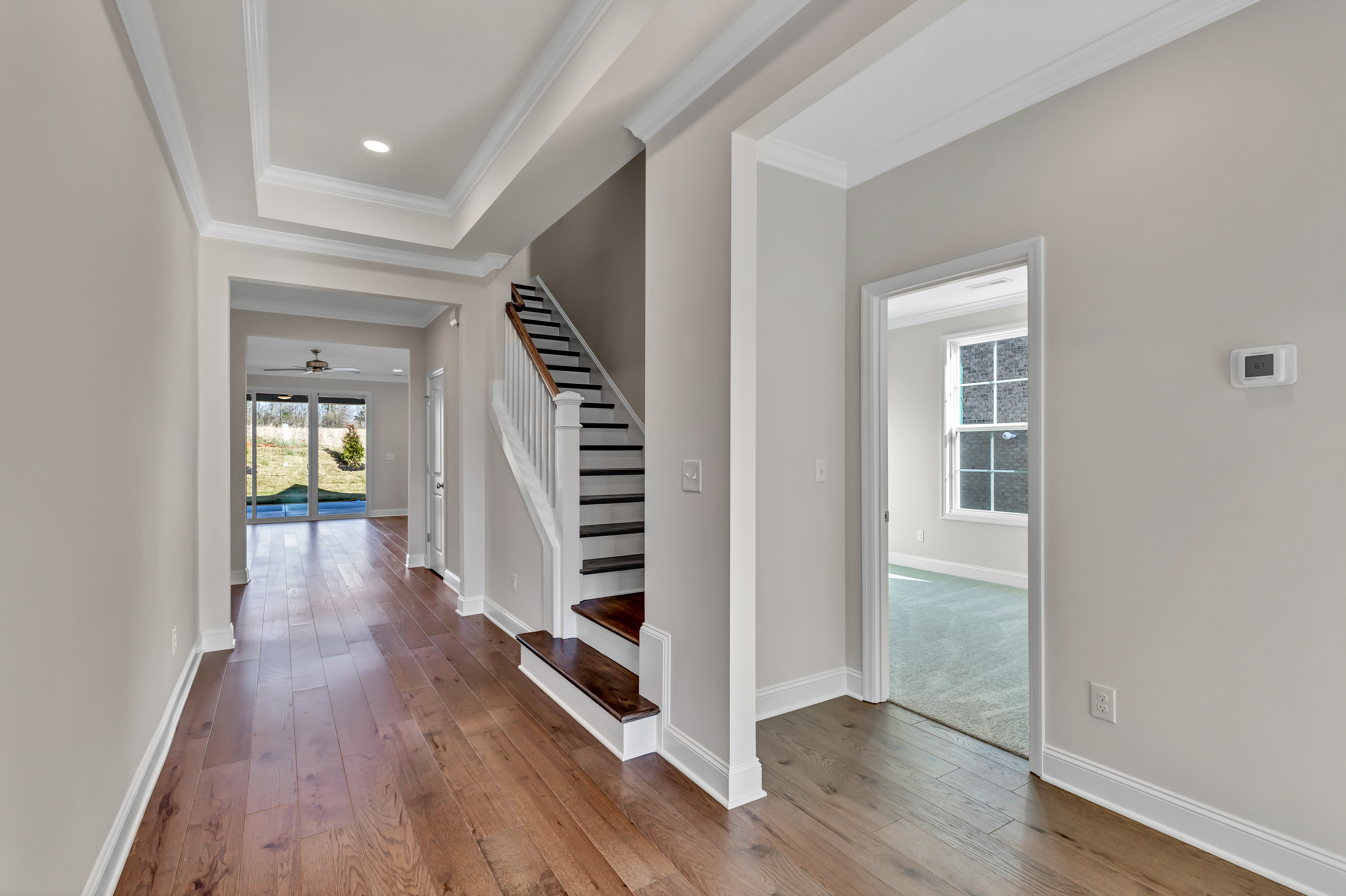 MDWS 65 – Jackson T- Photo 5