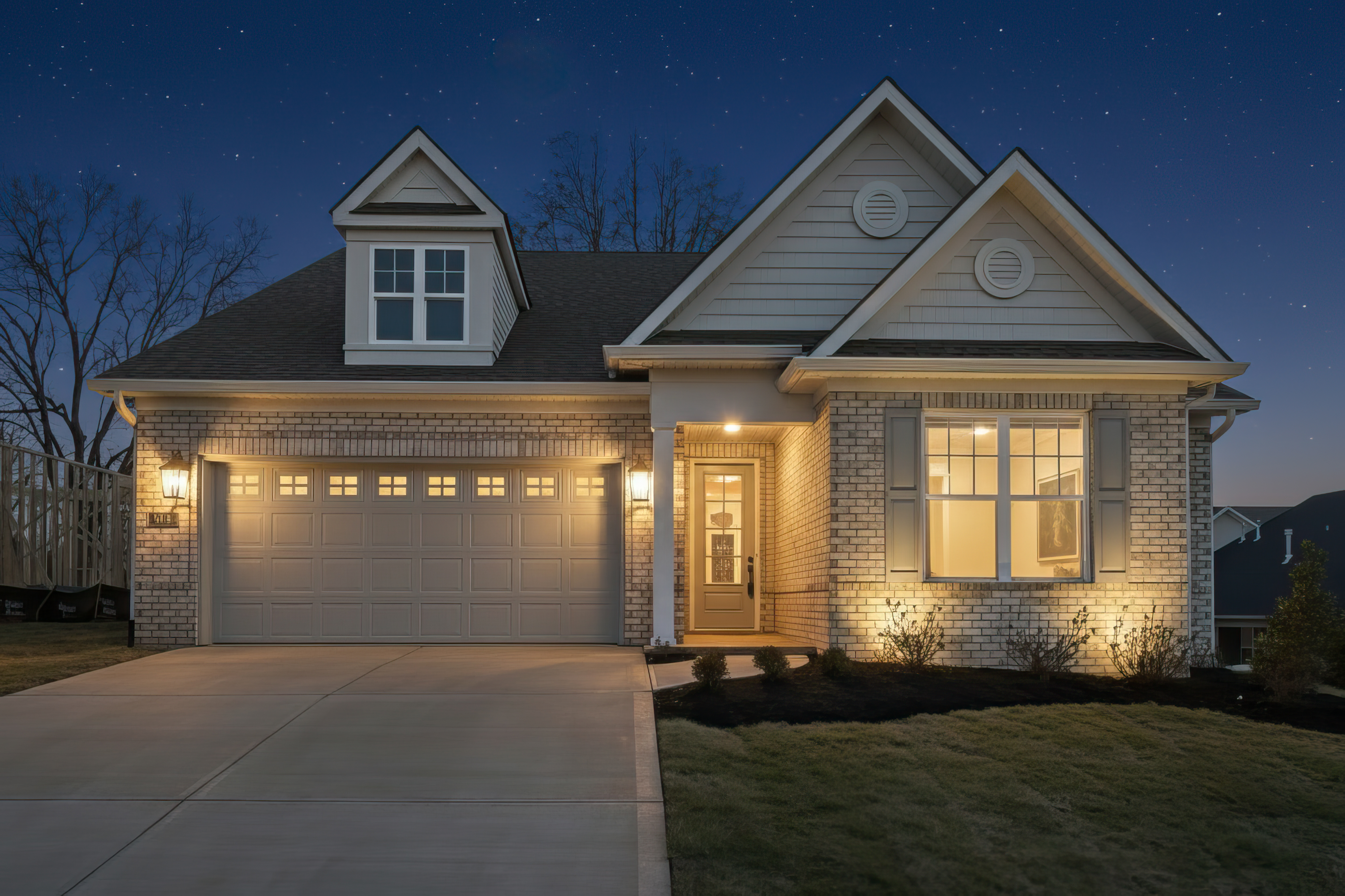 Lot 59 – 914 Shasta Daisy